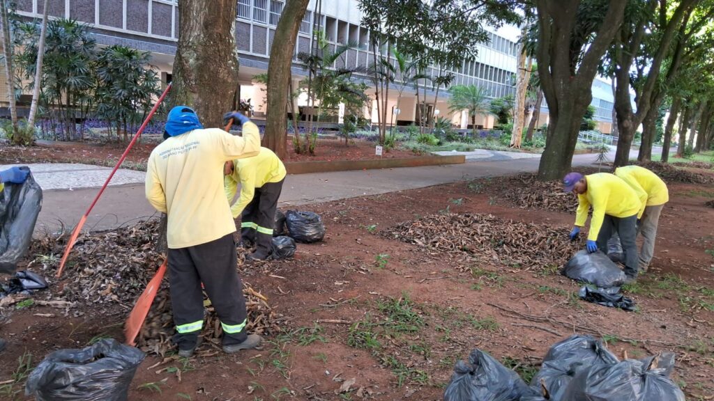 Plano Piloto recebe reforço nos serviços de zeladoria: limpeza, manutenção e cuidado com espaços públicos ganham atenção redobrada