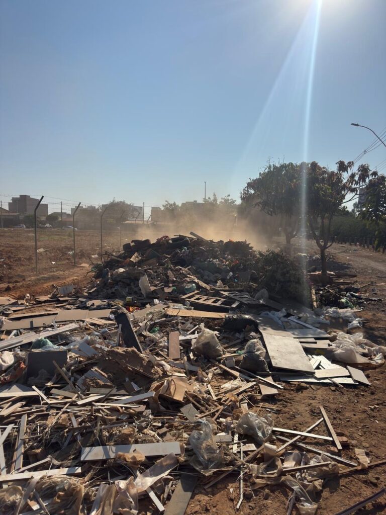 Mutirão de limpeza retira 1,7 mil toneladas de lixo das ruas em Ceilândia*