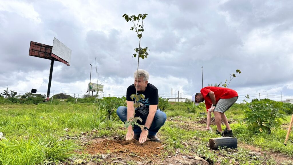 Ceilândia celebra Dia de Mudas com o plantio de 500 árvores nativas do Cerrado