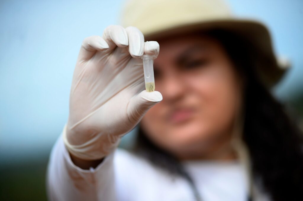 Você sabe o que é chikungunya?