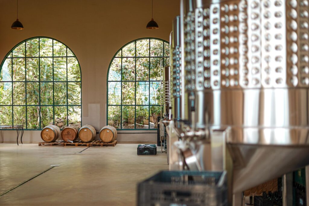 Brasília se consolida no mapa do vinho com a força da Vinícola Brasília e rótulos premiados no Brasil e no exterior