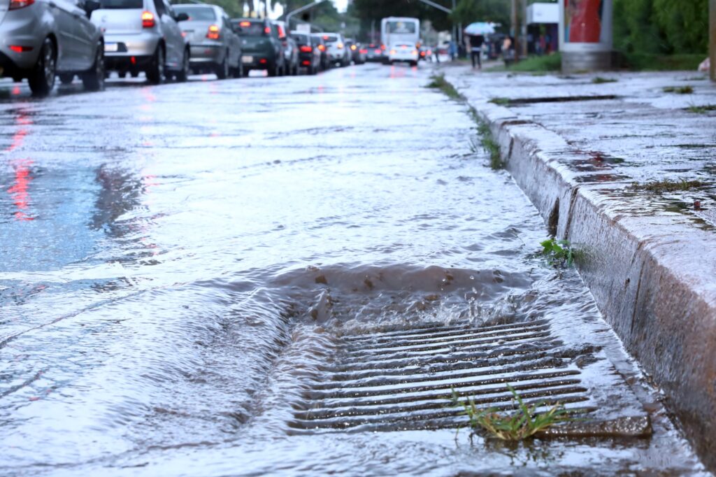 Leptospirose: chuvas aumentam risco de contaminação no DF