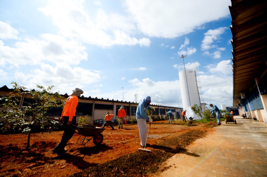 Rede de hortos agroflorestais chega no sistema prisional